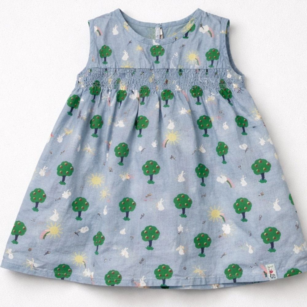 Lilly + Sid Blue Sleeveless Dress with Tree and Bunny Print smocked size 3-6 m